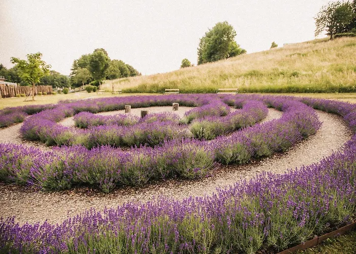 Heilthermen Bad Waltersdorf